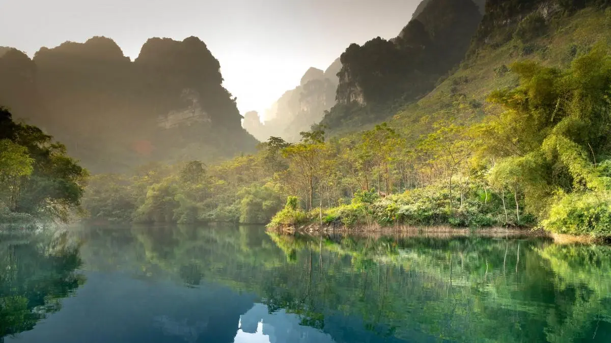 高端智能化